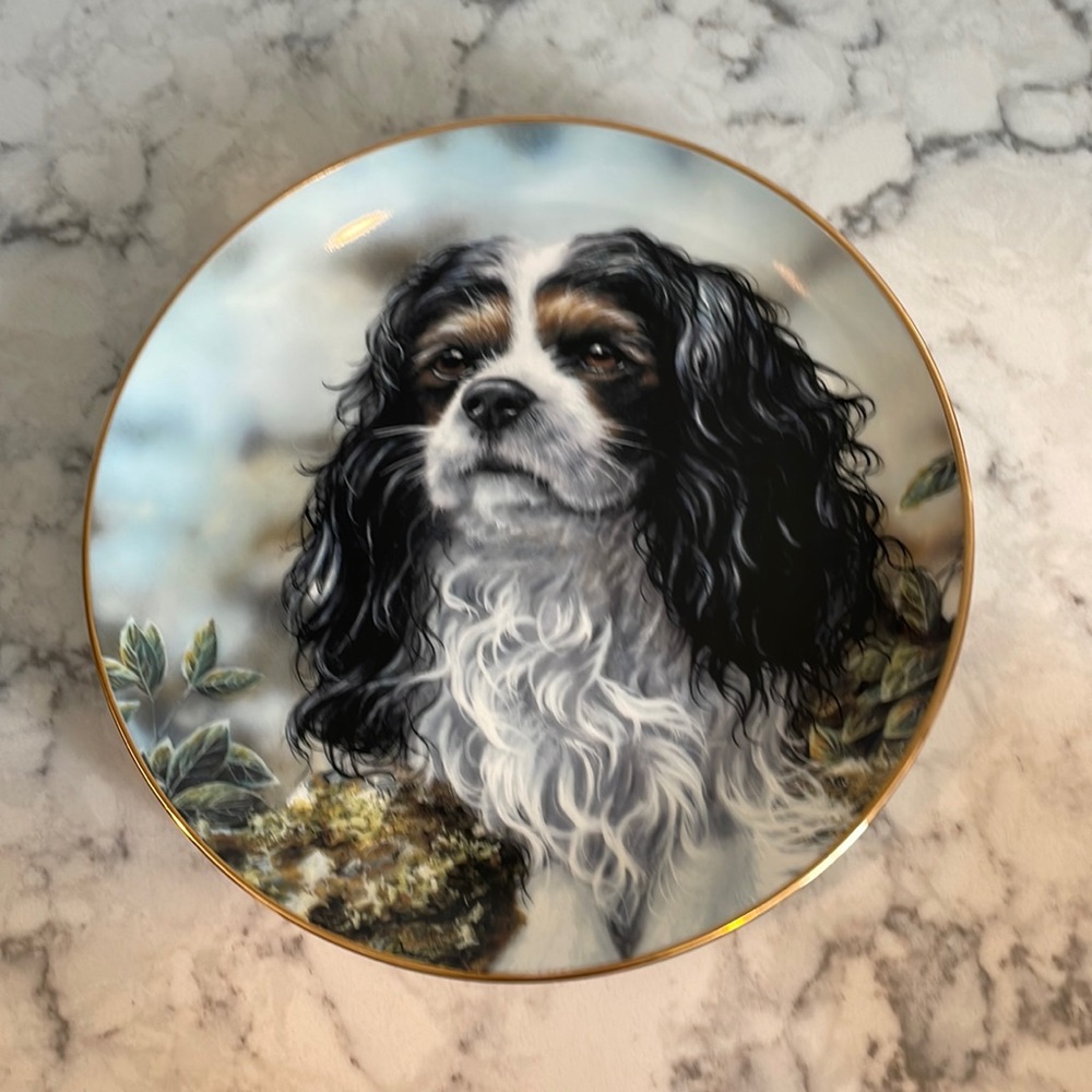 Danbury mint cavalier King Charles spaniel plate 9” Little Prince